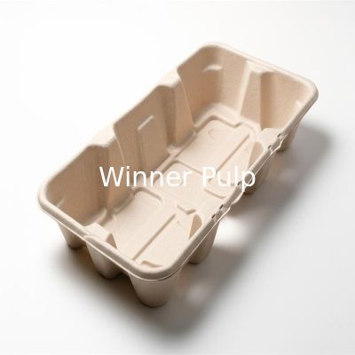Custom Molded Pulp Packaging Clamshell Foldable Hinge Design