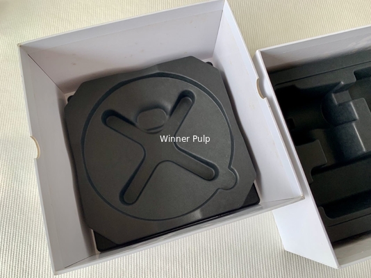 Thermoformed Eco Friendly Molded Pulp Packaging Wet Press