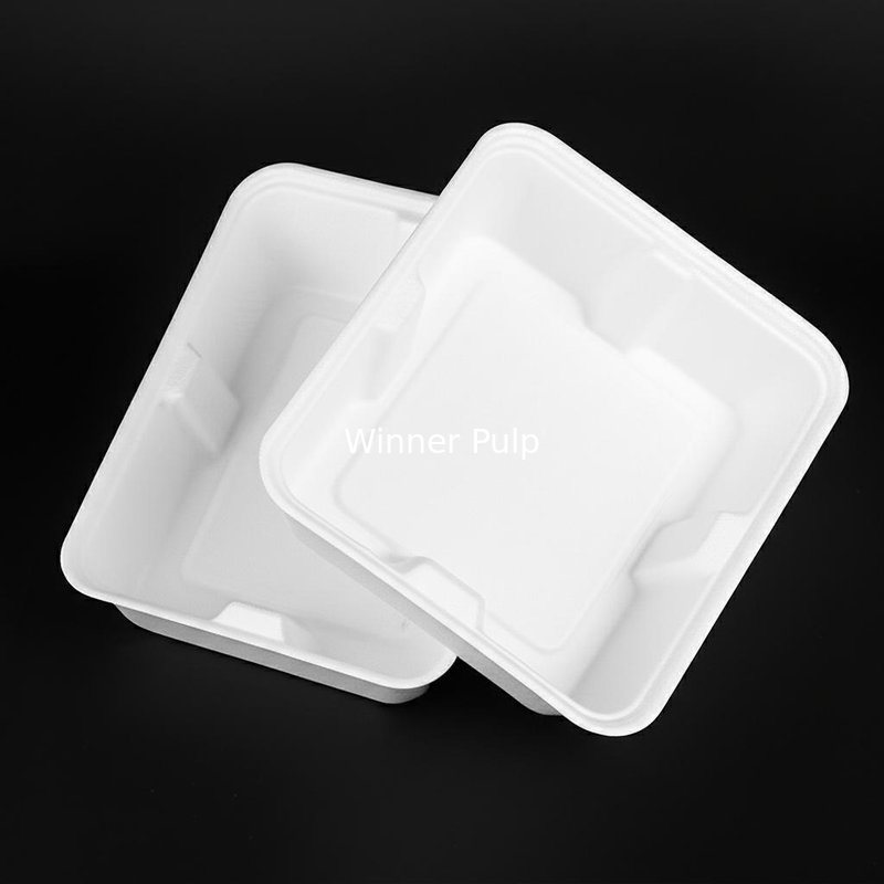 Customizable Molded Pulp Packaging H.S.Code 4823700000 Pure White for Your Durable and Eco-Friendly Packaging Needs